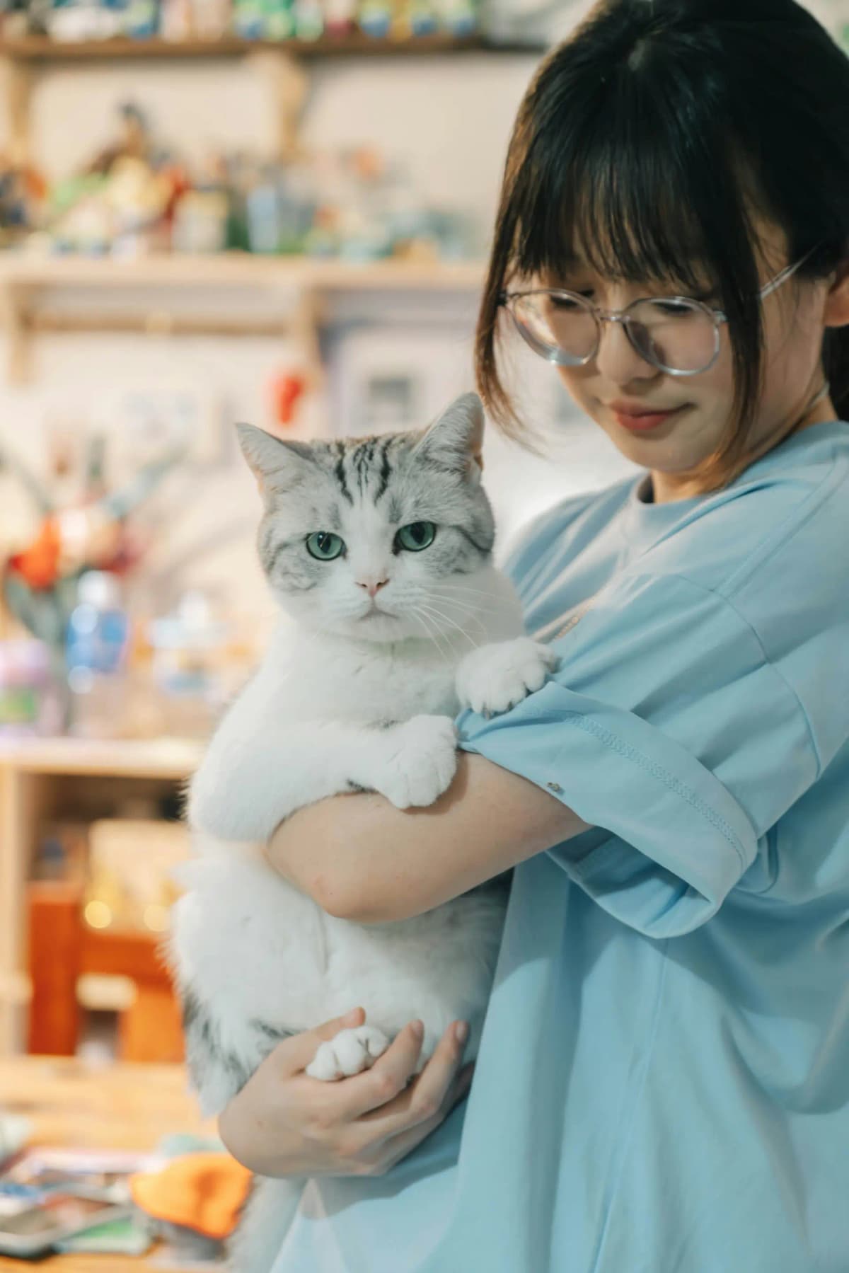 Comprehensive feline health examination