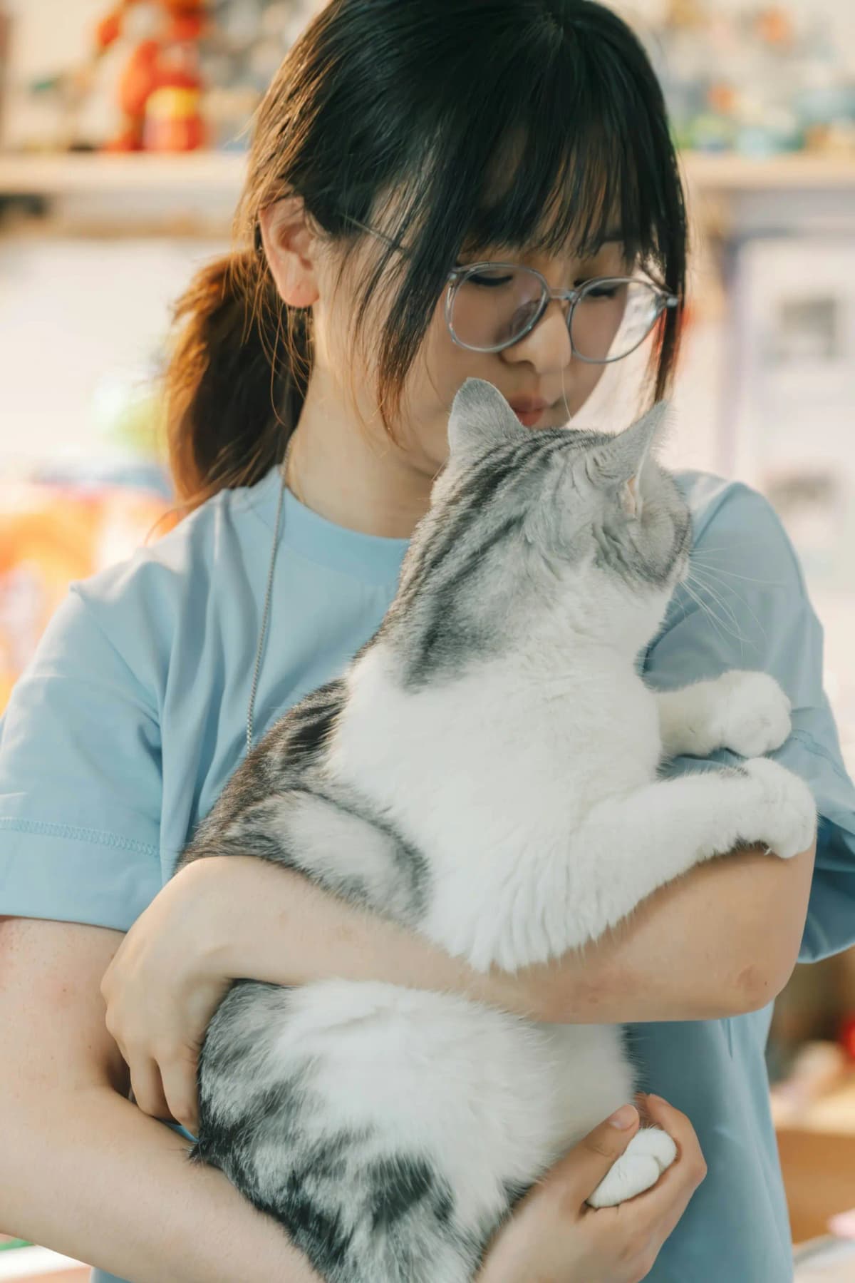Professional veterinary consultation with feline patient